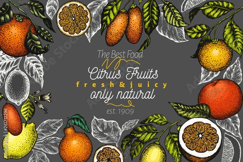 Citrus design templete. Hand drawn vector colour fruit illustration on dark background. Engraved style banner. Vintage citrus frame.