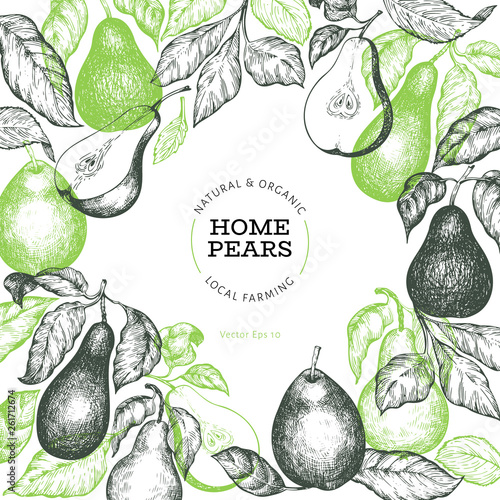 Pear design template. Hand drawn vector garden fruit illustration. Engraved style garden fruit frame. Retro botanical banner.