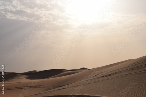 Wüste 8