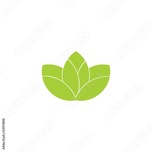 simple geometric vegetable leaf green logo vector