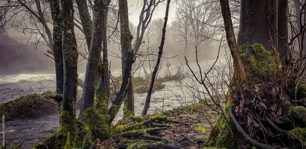 Naklejka premium Christmas Mist and Magic in calderdale 