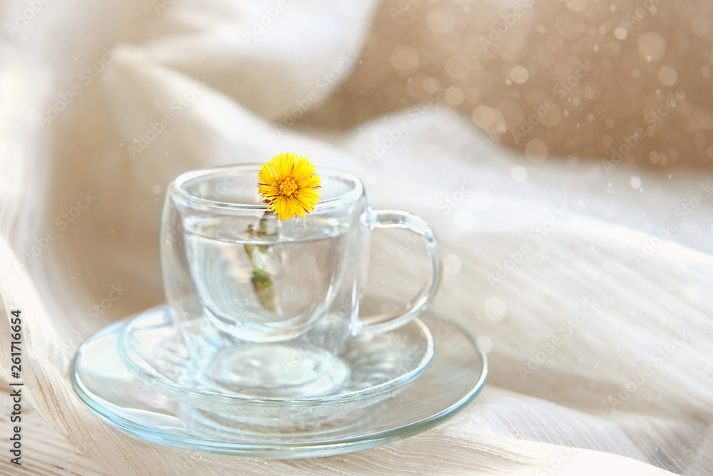 glass mug with flower Tussilago farfara on light blurred background. Delicate elegant artistic image of spring. beautiful spring season still life glass mug with flower Tussilago farfara on light blurred background. Delicate elegant artistic image of spring. beautiful spring season still life