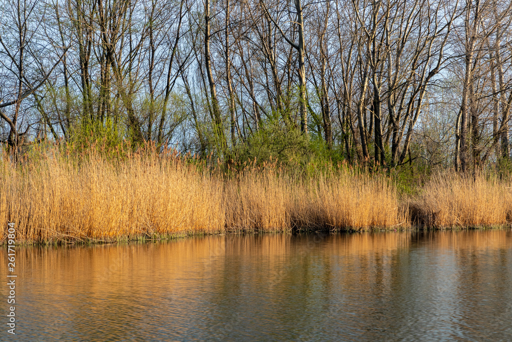 Ponds in Wola Rusiecka near Krakow