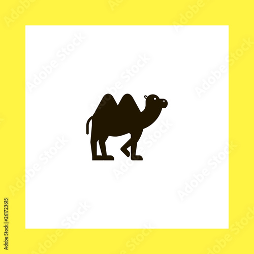camel vector icon. flat design