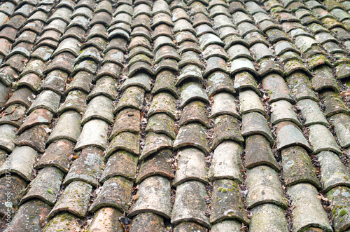 Old dirty tiled roof with moss closeup © isabela66