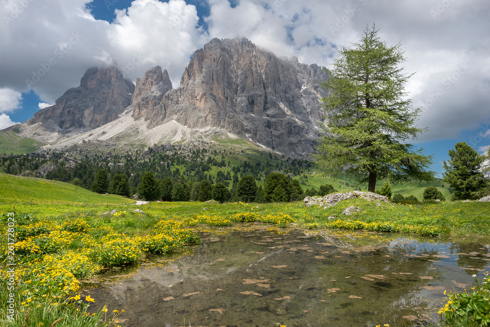 Obraz premium Dolomites scenic view during summer