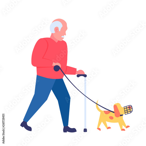 senior man walking with dog in muzzle grandfather and animal pet having fun best friend concept male cartoon character full length flat