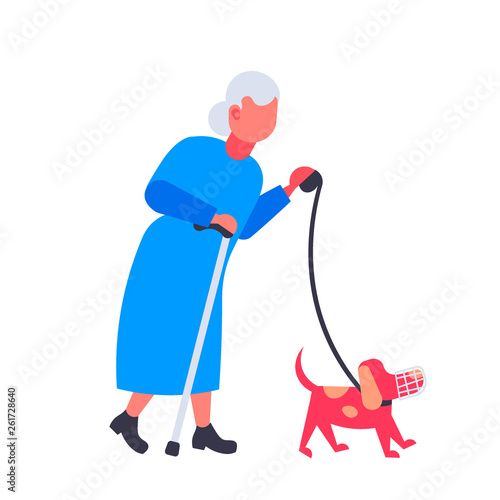 senior woman walking with dog in muzzle grandmother and animal pet having fun best friend concept female cartoon character full length flat