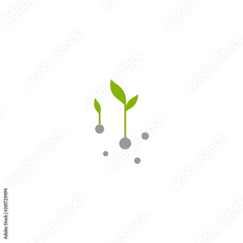 Two Green sprouts, sprigs, raw with leaves and seeds. Icon Isolated on white.