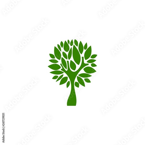 Green flat tree with sharp leaves isolated on white. organic symbol.