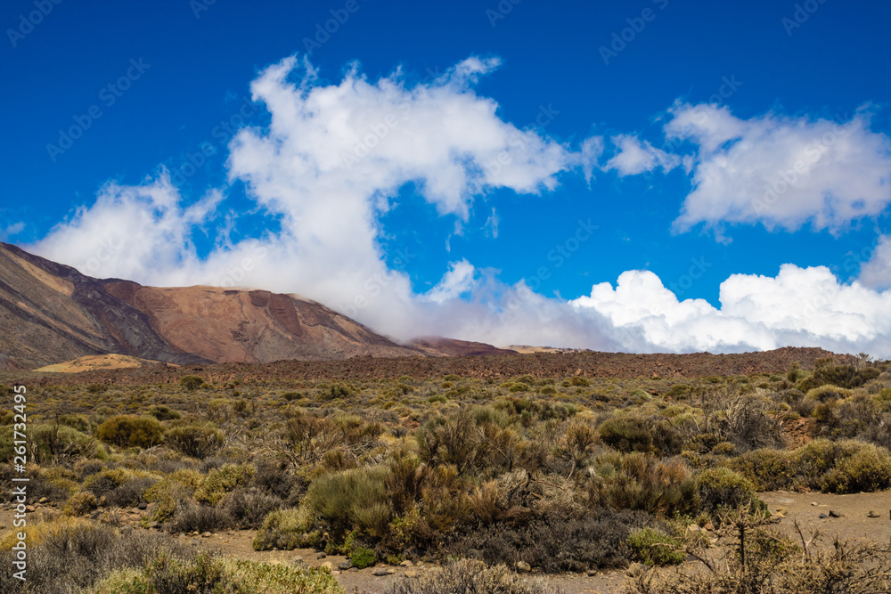 El Teide National park landscape, Tenerife, Canary Islands, Spain - Image