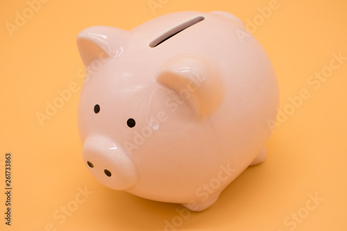 Pink piggy bank and money