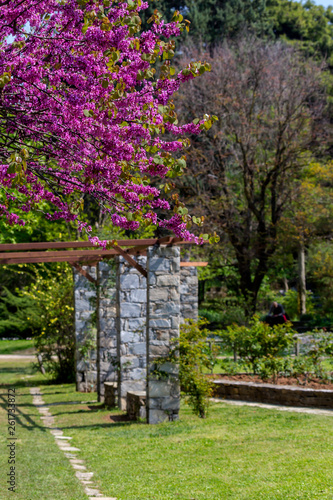 Landscape gardening design in spring park