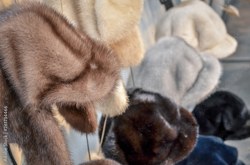 Obraz premium Luxury fur hats on sale. Woman fashion