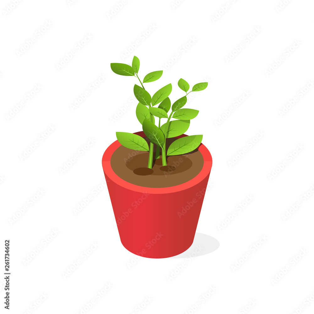 Fototapeta premium Pot plant in isometric style. Vector image of a flower in a flowerpot