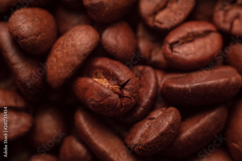 Arabica coffee grains close-up. Top view
