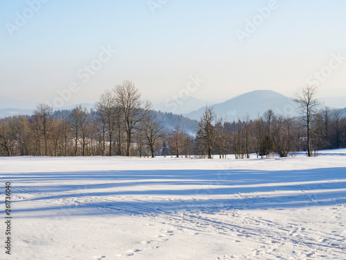 Wallpaper Mural winter field and forest countryside snow covered panoramic landscape with trees, hill in luzicke hory mountain Torontodigital.ca