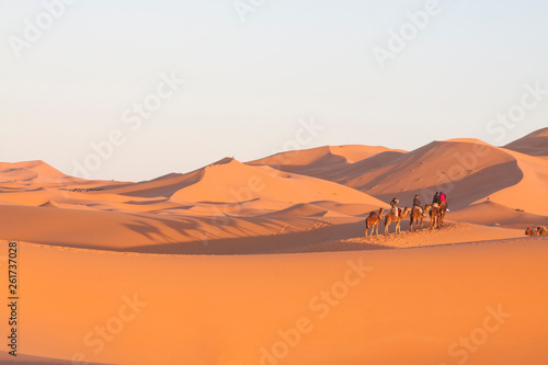 Morocco, Merzouga, Erg Chebbi Dunes, Tourists Riding Camels