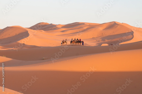 Morocco  Merzouga  Erg Chebbi Dunes  Tourists Riding Camels