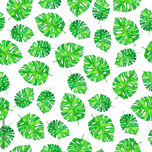 Seamless pattern with fresh green monstera tropic leaves on white background. Hand drawn watercolor illustration. 
