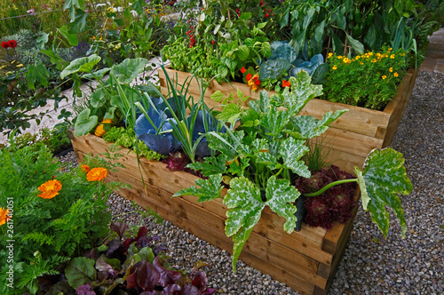 Fotografie Raised vegetable container with selection of vegetables and flowers in an allotm