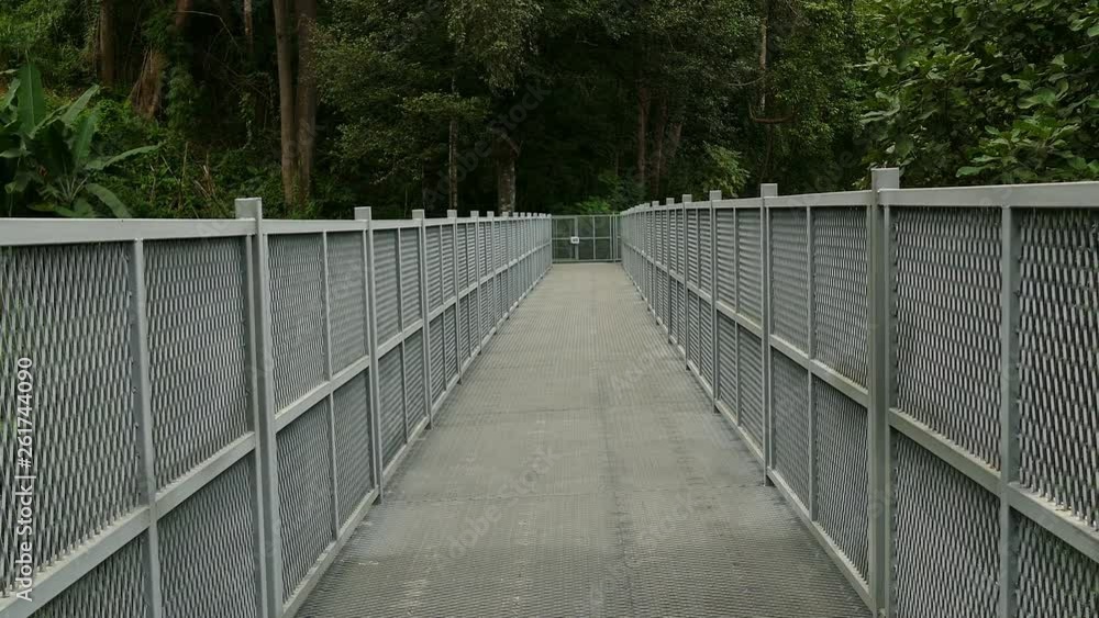 walkway footbridge with treetop view in park walkway footbridge with treetop view in park
