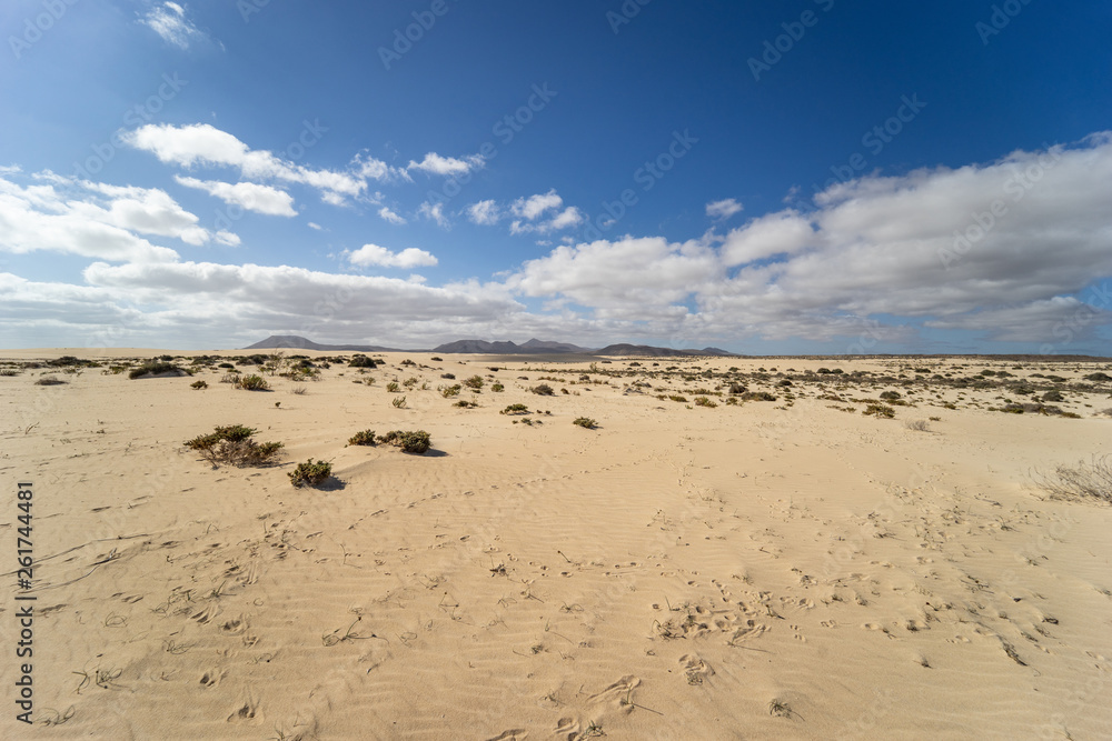 Desert of Fuerteventura on Canary Islands in Spain Desert of Fuerteventura on Canary Islands in Spain
