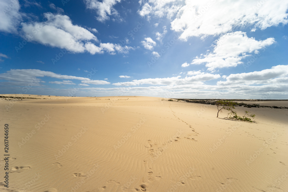 Desert of Fuerteventura at the Canary Islands of Spain