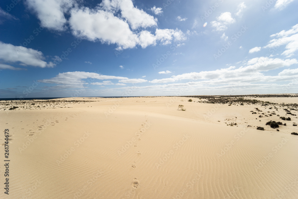 Desert of Fuerteventura at the Canary Islands of Spain Desert of Fuerteventura at the Canary Islands of Spain