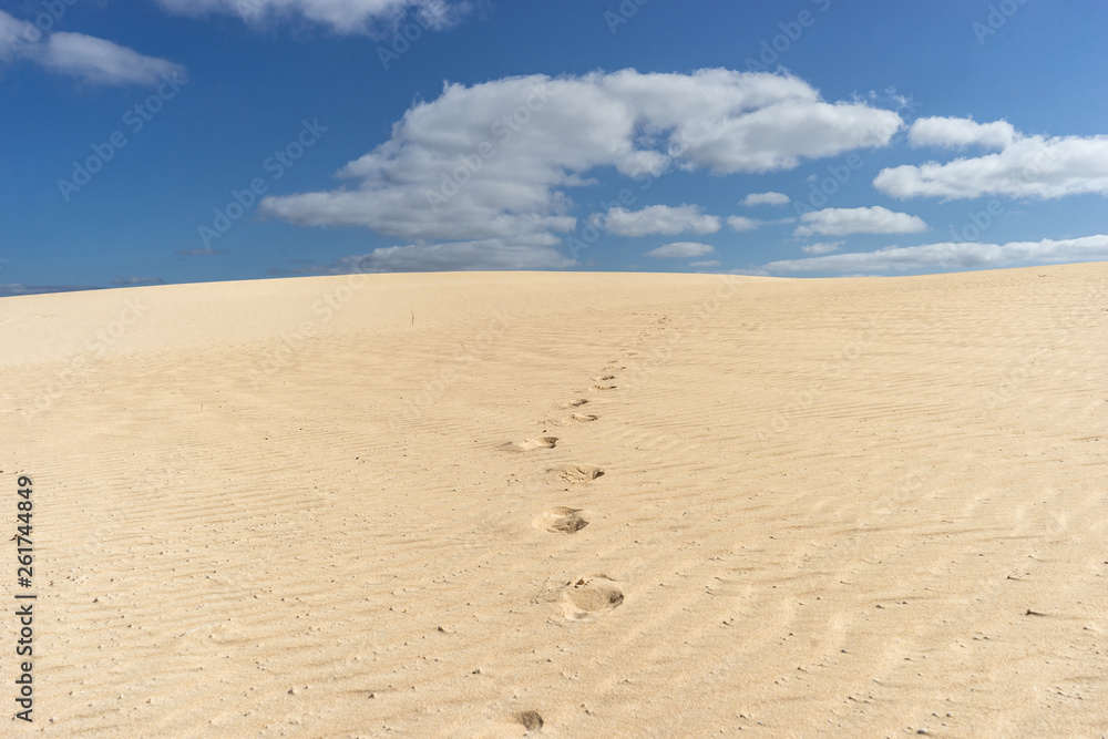 Desert of Fuerteventura at the Canary Islands of Spain Desert of Fuerteventura at the Canary Islands of Spain