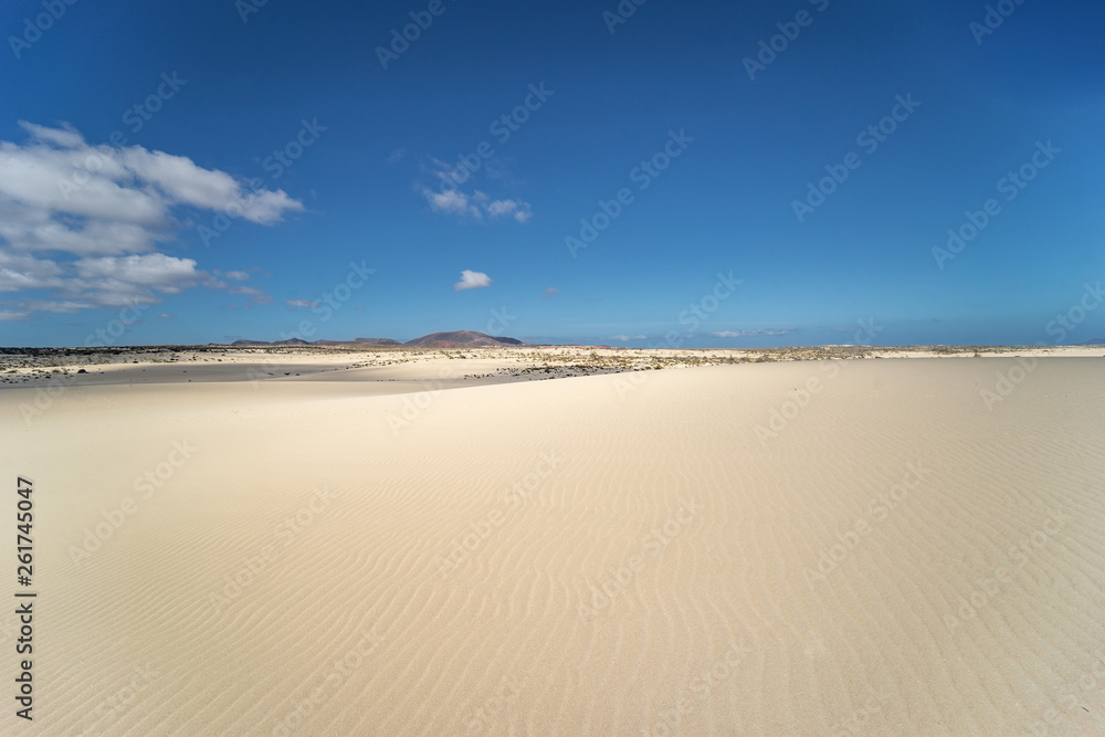 Desert of Fuerteventura at the Canary Islands of Spain