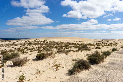 Desert of Fuerteventura at the Canary Islands of Spain