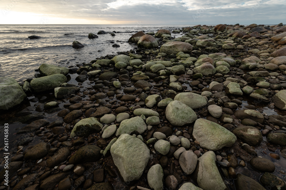 Boulder beach during a cloudy sunset with green seaweed covered rocks - Veczemju Klintis, Latvia - April 13, 2019 Boulder beach during a cloudy sunset with green seaweed covered rocks - Veczemju Klintis, Latvia - April 13, 2019