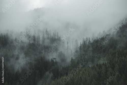 Foggy forest in a gloomy landscape in Slovakia © Tomas