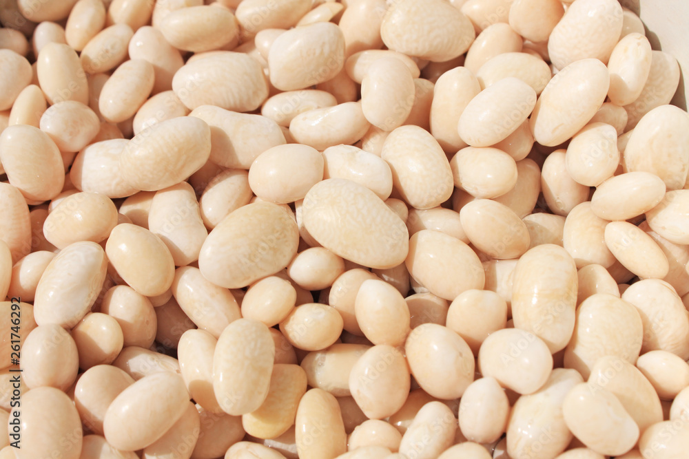 Big white kidney bean isolated on white background. Top view. Flat lay. Big white kidney bean isolated on white background. Top view. Flat lay.