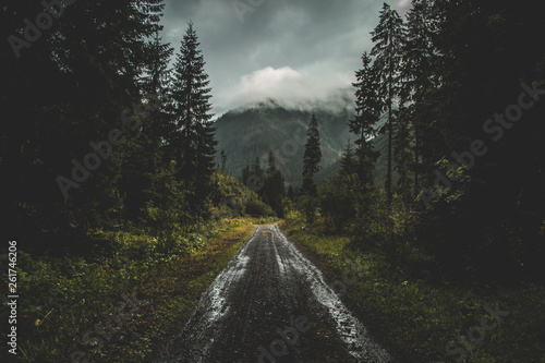 Road in the moody autumn forest, in Slovakia photo