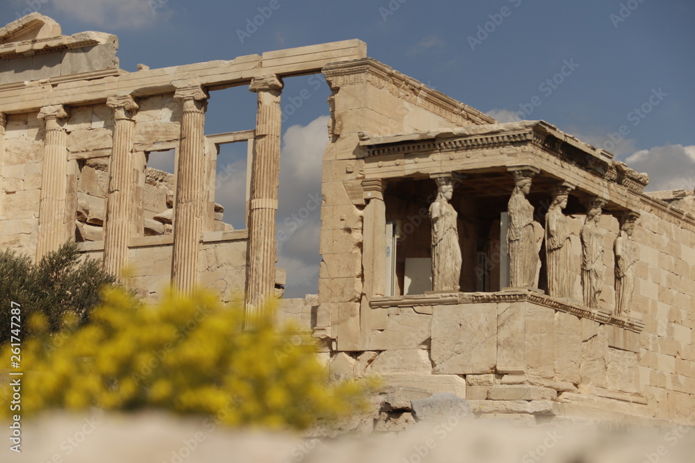 Fototapeta premium Athene