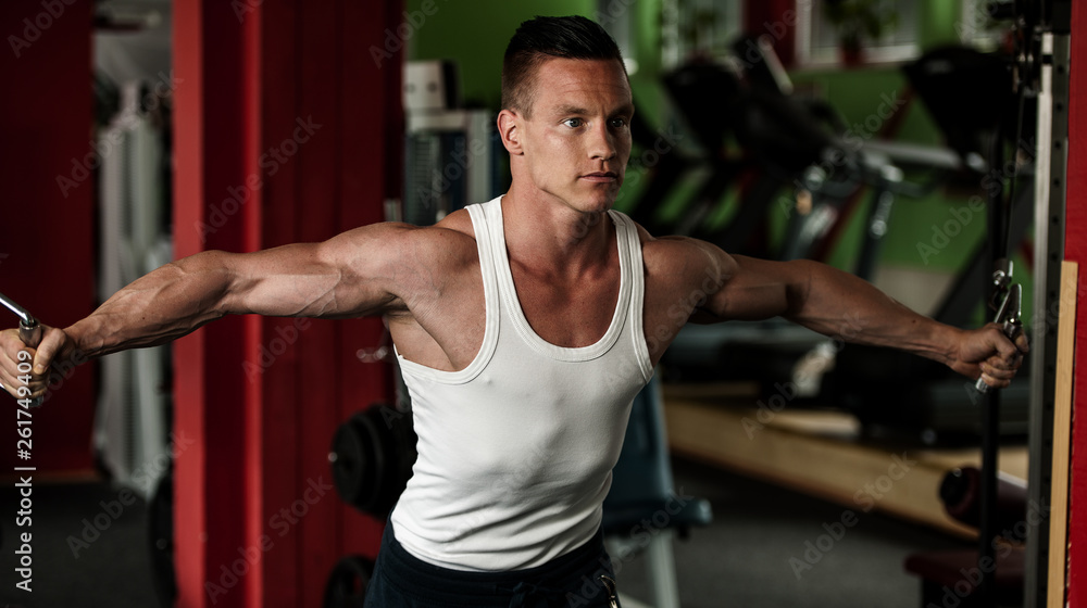 phisique fitness competitor works out in gym lifting dumbbells phisique fitness competitor works out in gym lifting dumbbells