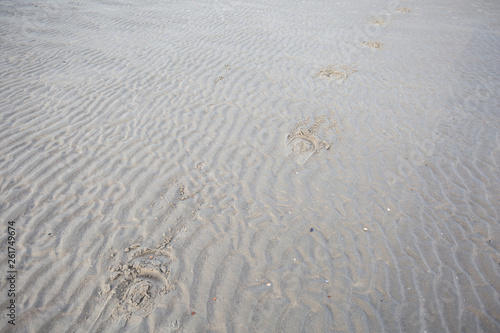 Hufspuren im Sand am Strand
