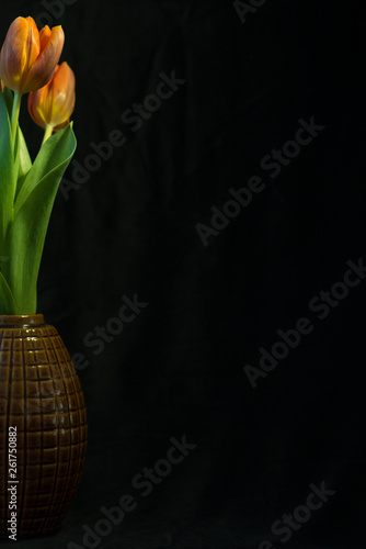 Tulip flowers with green leaf in flower vase