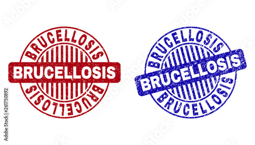 Grunge BRUCELLOSIS round stamp seals isolated on a white background. Round seals with grunge texture in red and blue colors. Vector rubber imitation of BRUCELLOSIS tag inside circle form with stripes.