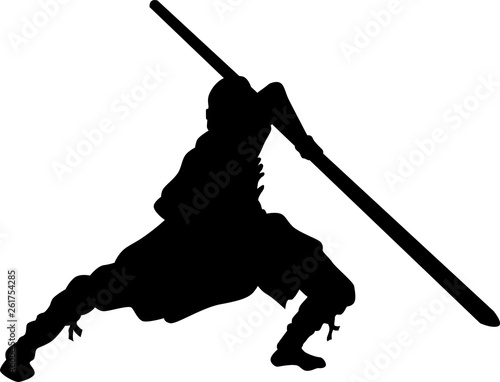 Shaolin fighter vector silhouette