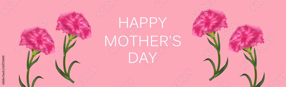 Horizontal banner for Mother's Day with carnations. Poster or greeting card. Vector Horizontal banner for Mother's Day with carnations. Poster or greeting card. Vector