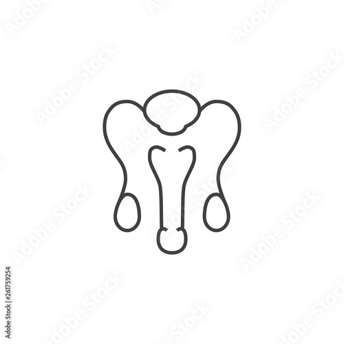Male Reproductive System Vector Line Icons