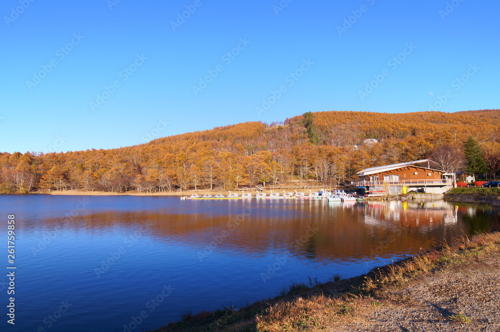 Highland Lake Autumn leaves Highland Lake Autumn leaves