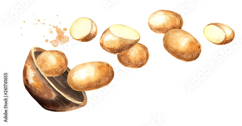 Wallpaper Mural Bowl with raw potatoes. Hand drawn horizontal watercolor illustration, isolated on white background Torontodigital.ca
