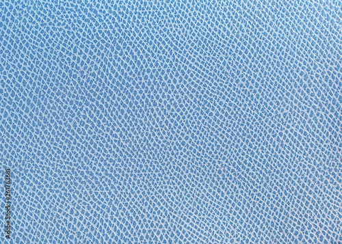 Blue skin texture.Leather texture as background.