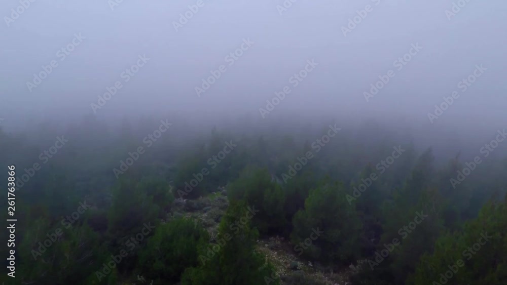 Aerial shot flying through clouds above a forest on a mountain Aerial shot flying through clouds above a forest on a mountain