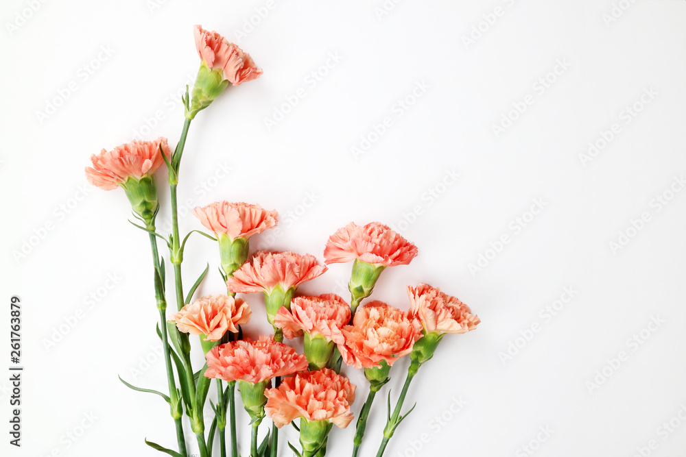 Fototapeta premium 아름다운 봄 꽃, 리빙코랄 컬러 카네이션,안개꽃,장미