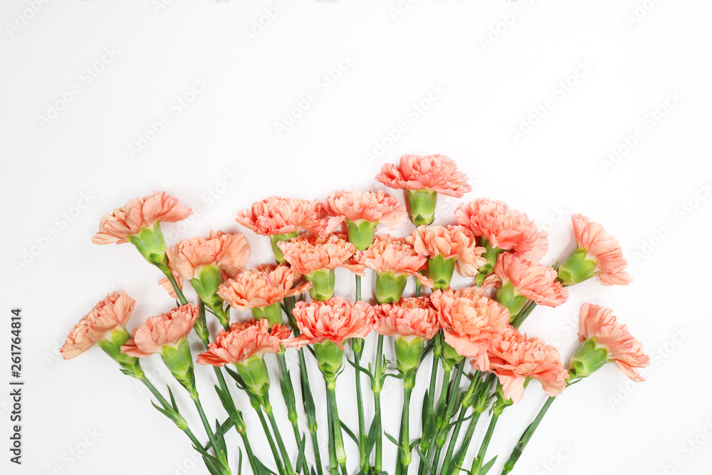 아름다운 봄 꽃, 리빙코랄 컬러 카네이션,안개꽃,장미 아름다운 봄 꽃, 리빙코랄 컬러 카네이션,안개꽃,장미